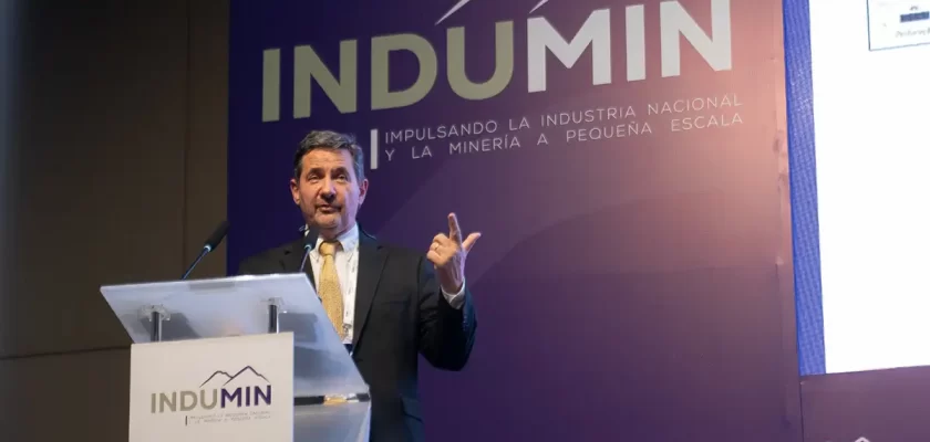 Giorgio De Tomi en INDUMIN