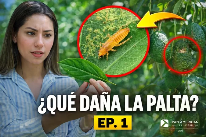 Pan American Silver Shahuindo, Condebamba Sostenible