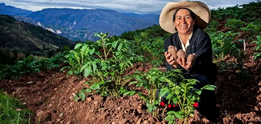 Plan Nacional de Infraestructura (PNI) 2026-2031