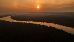 Programa Bosques: Minam impulsa conservación con apoyo a comunidades nativas