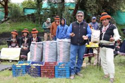 Las Bambas consolida exitosamente proyecto forestal con la venta de más de 1,800 kilos de hongos