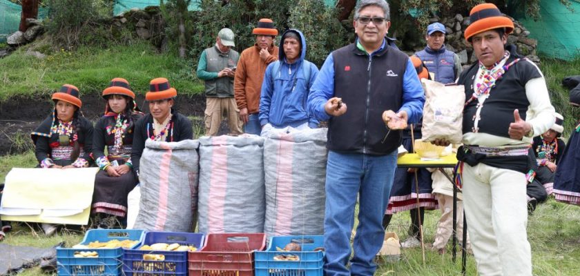 Las Bambas consolida exitosamente proyecto forestal con la venta de más de 1,800 kilos de hongos
