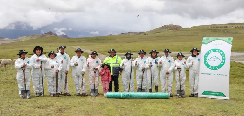 quinuales en Quiulacocha