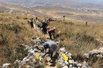 reforestación en el Complejo Arqueológico de Tunanmarca