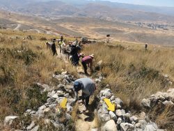 Minera Chinalco Perú dona 500 plantones de queñual para proteger y delimitar el Complejo Arqueológico de Tunanmarca