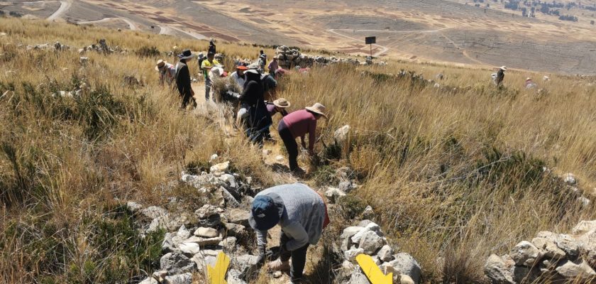 reforestación en el Complejo Arqueológico de Tunanmarca