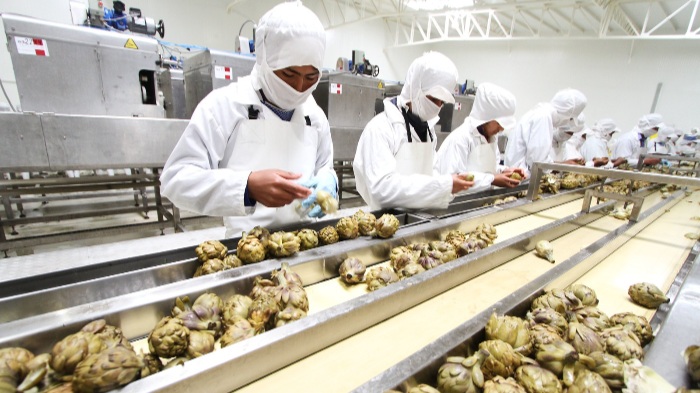 Concursos Regionales