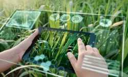 Hitachi Energy presenta EcoSpace™, su nueva plataforma digital de sostenibilidad