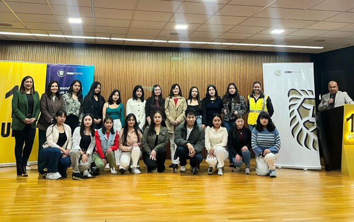 Programa de Becas Universitarias, Gold Fields