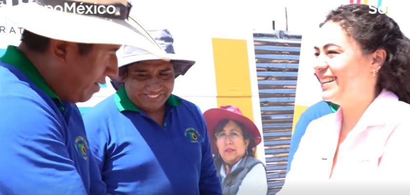 Southern-Perú-palta