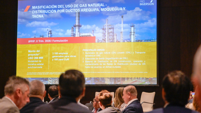 masificación del gas natural en Perú