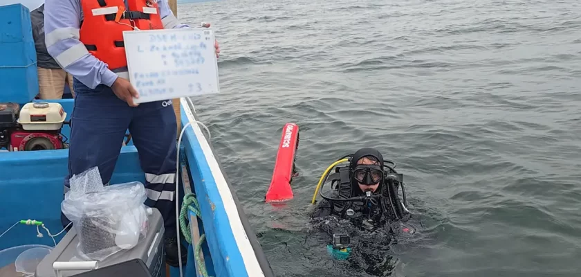 supervisión submarina en el sector hidrocarburos