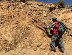 Coppernico Metals anuncia importantes hallazgos de cobre y oro en su proyecto Sombrero