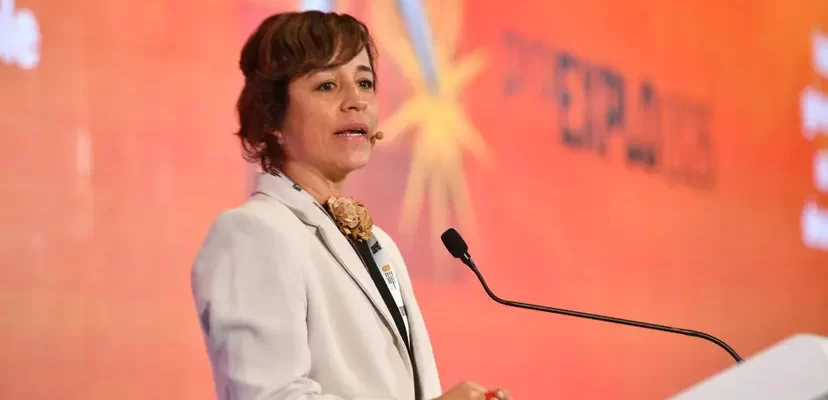Denise Ledgard, PNUD Perú