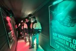 Gold Fields impulsa Pausa por la Seguridad 2026 en Cerro Corona