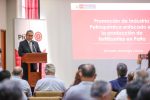 Complejo Petroquímico de Desarrollo Descentralizado en Piura