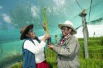 Día Mundial del Medio Ambiente, Las Bambas