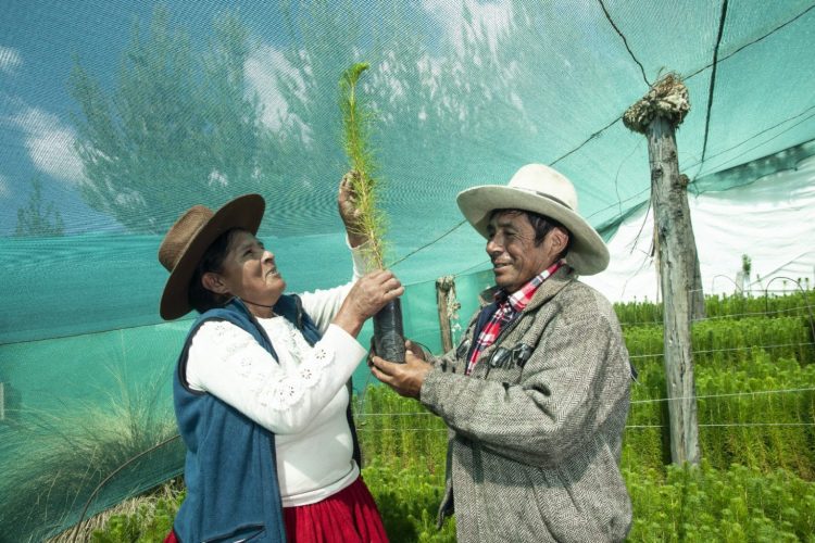 Día Mundial del Medio Ambiente, Las Bambas