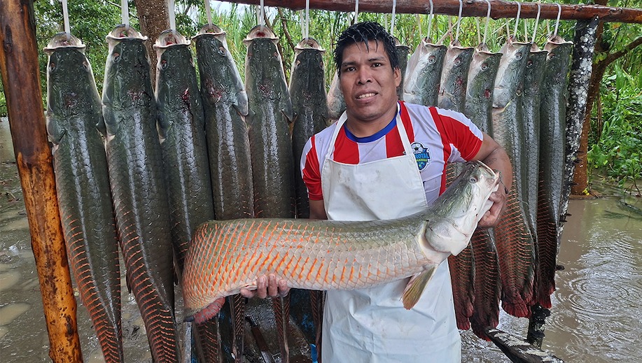 Acuicultores logran vender más de 200 kilos de paiche fresco a empresa Sodexo