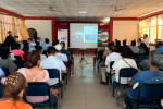 Programa de Trabajo en Lote VI