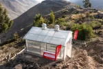 Southern Perú innovación agrícola orégano en Torata