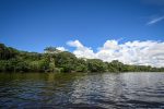proyectos de carbono