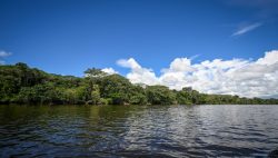 Perú fortalece proyectos de carbono con nuevos estándares para atraer inversiones climáticas
