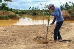 recuperación de áreas afectadas por minería ilegal