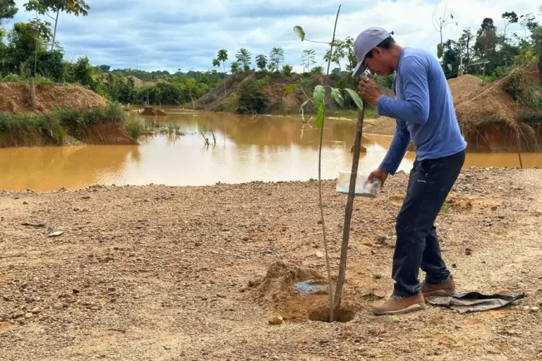 recuperación de áreas afectadas por minería ilegal