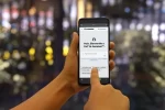 Cat AI Assistant
