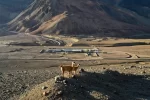 Glencore