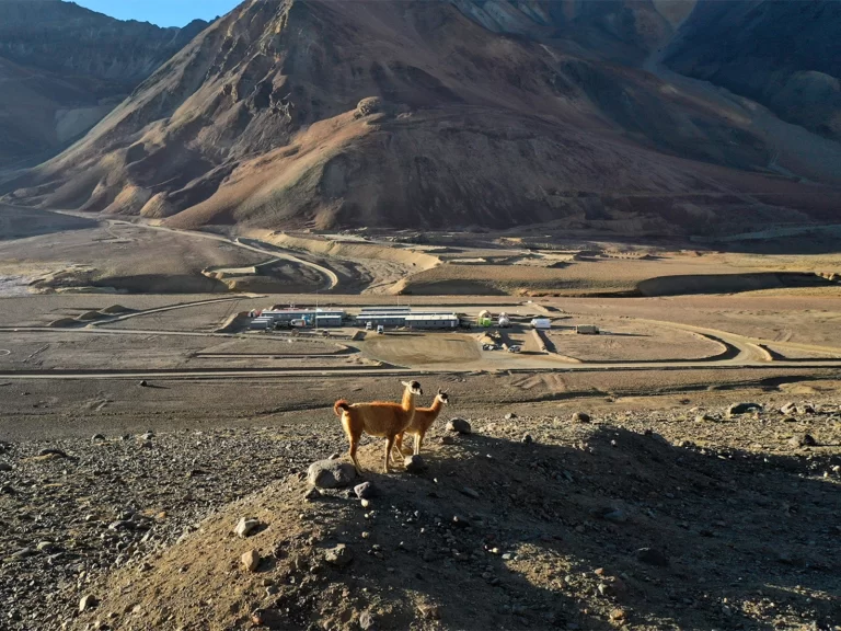 Glencore