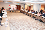 Grupo de Trabajo Multisectorial OCDE