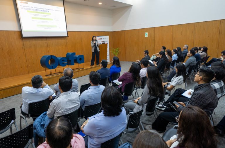 OEFA capacita a empresas mineras
