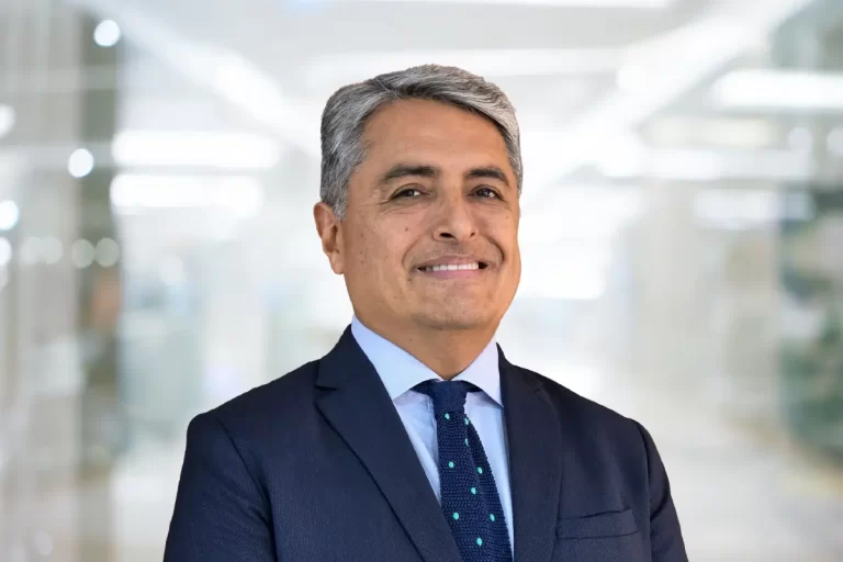 Víctor Raúl Ventura Castro, Deloitte Perú