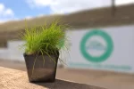 proyecto Bioboost