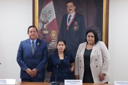 Yenifer Paredes presidirá Comisión de Energía y Minas de la Cámara de Diputados