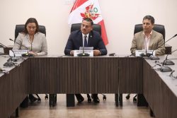 Senado elige a Daniel Barragán como presidente de Comisión de Desarrollo Productivo, Energía y Minas