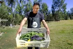 seguridad alimentaria