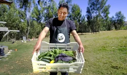WHH y Fundación Citi fortalecen la seguridad alimentaria en Áncash con producción agroecológica