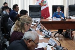 Comisión de Energía y Minas rechaza delegar facultades legislativas al Ejecutivo