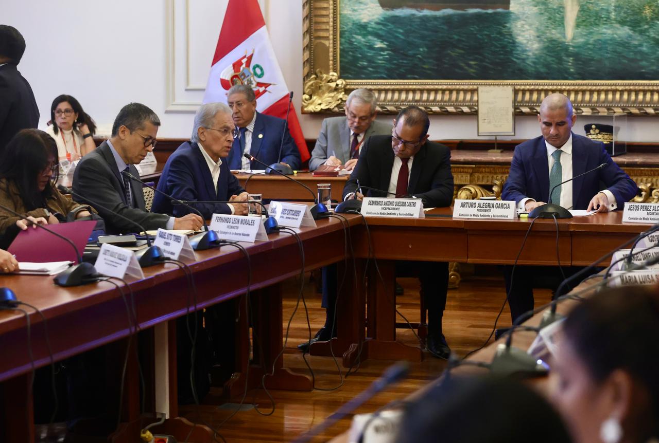 Diputados proponen fortalecer la fiscalización y la gestión ambiental