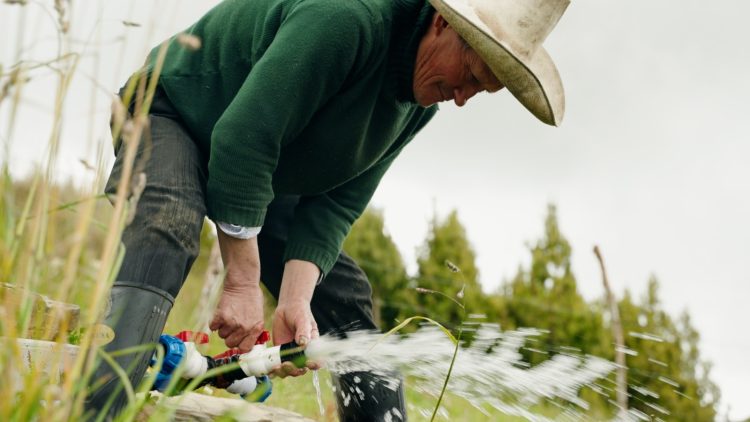 Gold Fields impulsa proyecto de siembra y cosecha de agua con 52% de avance en Hualgayoc