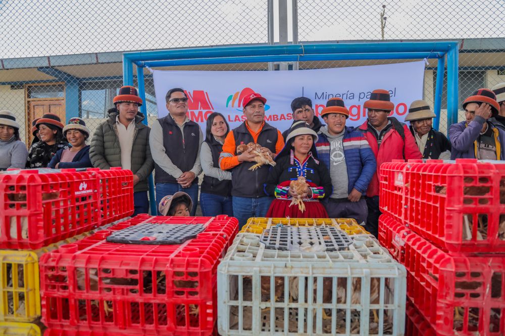 Las Bambas promueve la producción agropecuaria de 16 comunidades de Challhuahuacho
