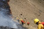 incendios forestales
