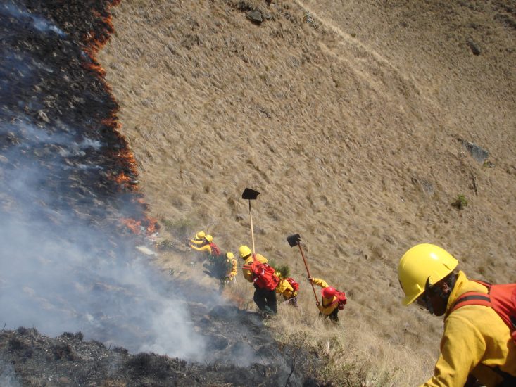 incendios forestales