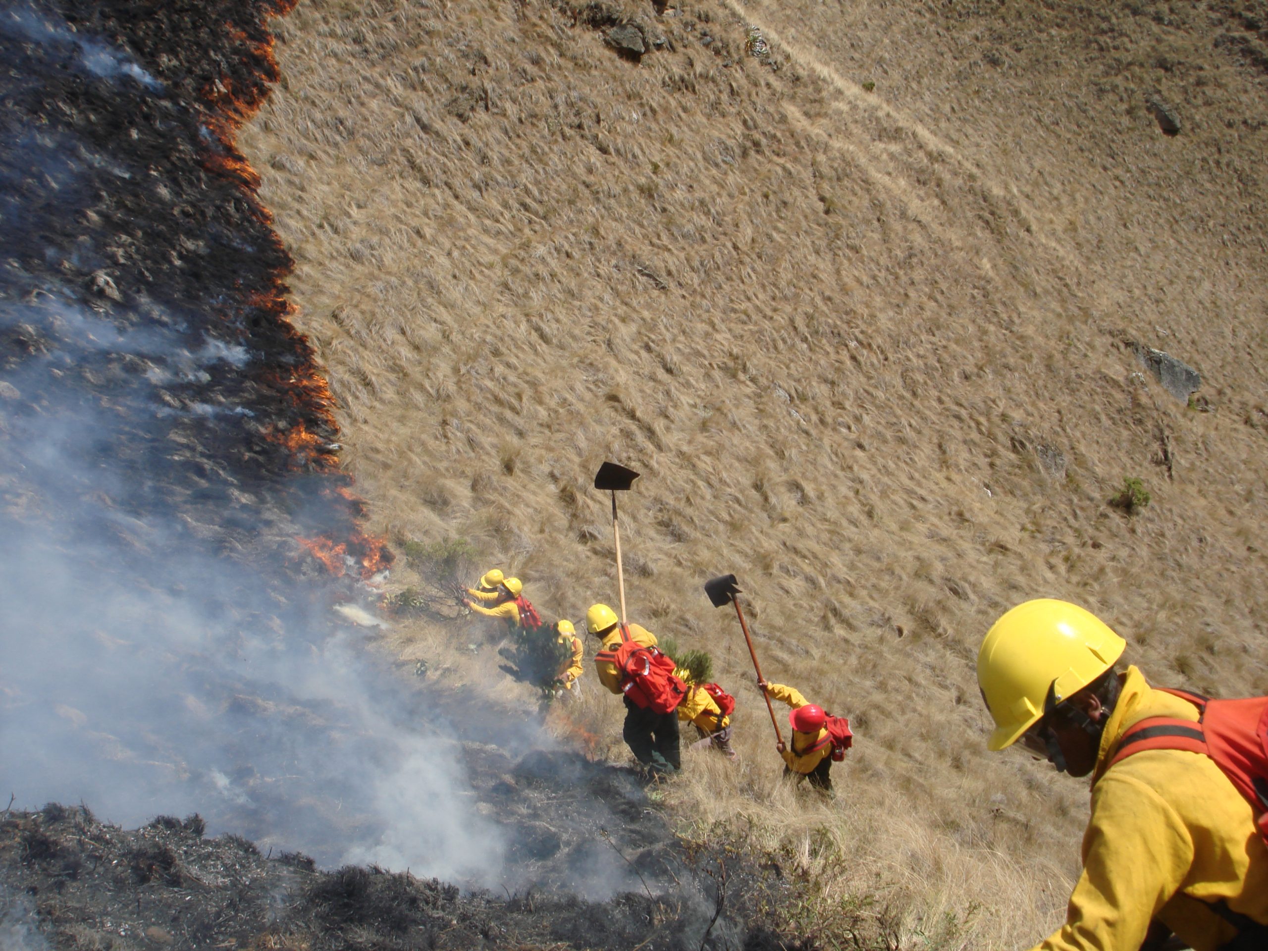 Minam impulsa estrategia nacional para prevenir incendios forestales y reducir sus impactos
