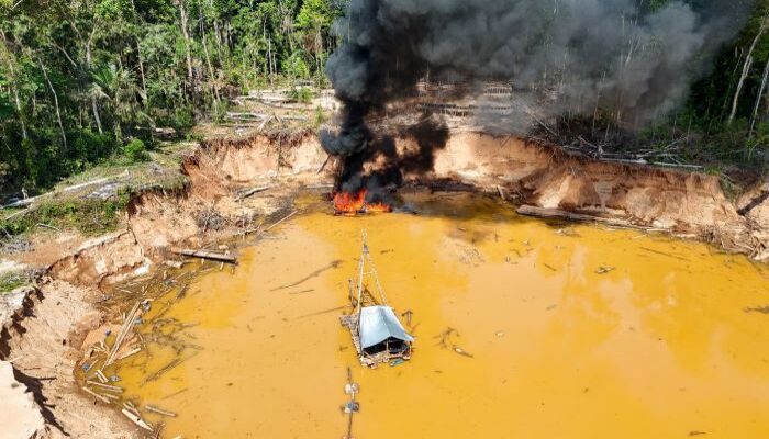 Madre de Dios: Ejecutivo recupera 90% de áreas afectadas por minería ilegal en Tambopata