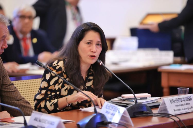 Mayra Figueroa ante la Comisión de Energía y Minas