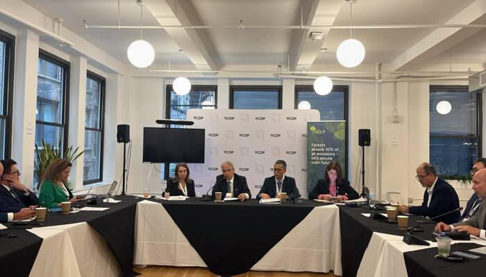 Perú busca movilizar US$ 250 millones con mercados de carbono al 2030